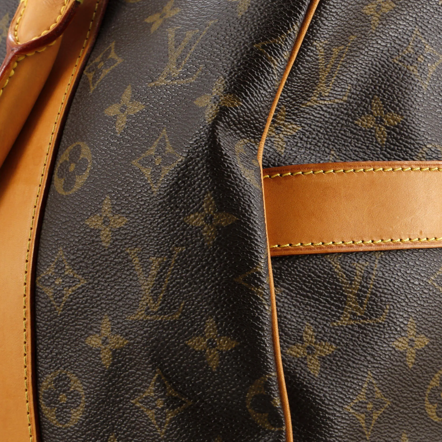 Carryall Handbag Monogram Canvas