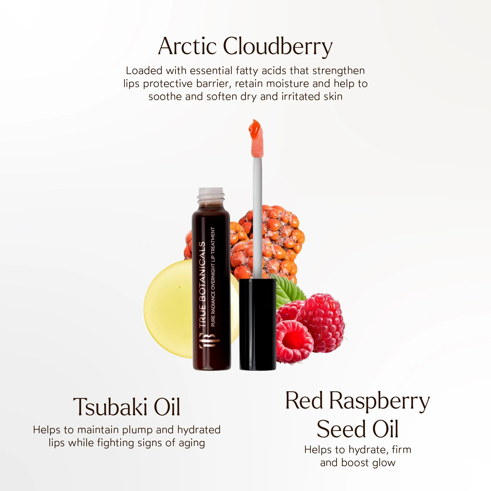 Pure Radiance Overnight Lip Treatment